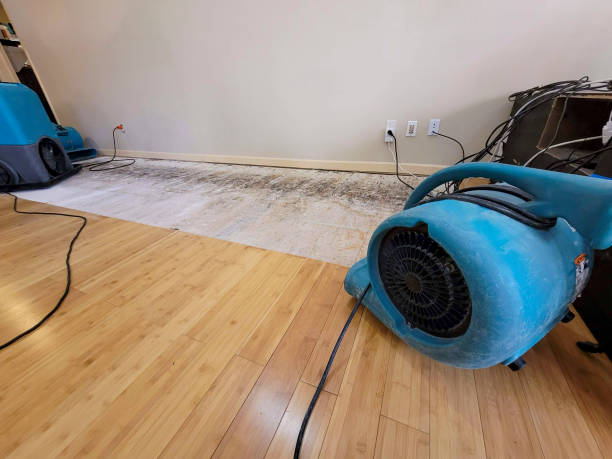 Professional Water Damage Repair technician working in Fowler, CA